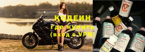 хмурый Арсеньев