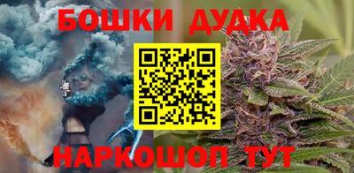 гашик Волжский