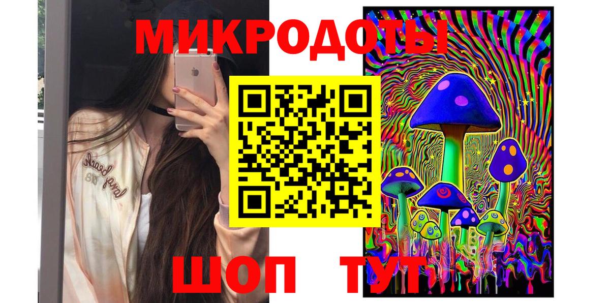 Галлюциногенные грибы прущие грибы  Псилоцибиновые грибы Psilocybine cubensis  Воркута 