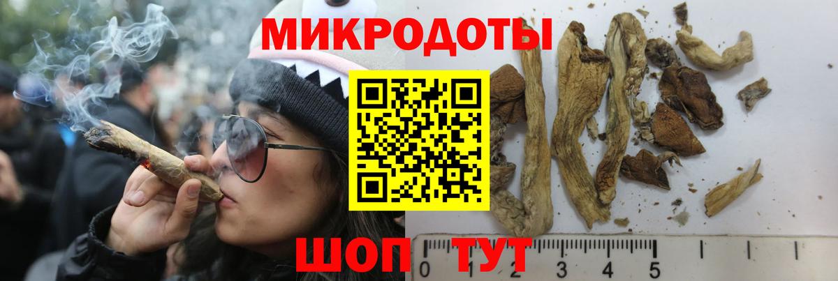 Галлюциногенные грибы ЛСД Воркута