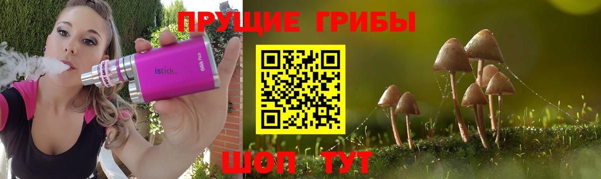 Воркута  Галлюциногенные грибы GOLDEN TEACHER  Вход с VPN  купить  сайты  Псилоцибиновые грибы GOLDEN TEACHER 
